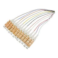 ADD-PT12-3MLC-OM1